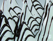 Plants:image 1 0f 10 thumb